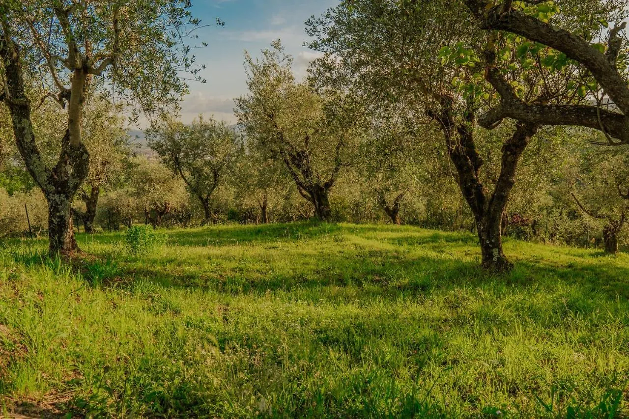 L'Otello B&B Pistoia